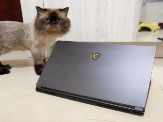 MSI GS65 9SD STEALTH(SLIM)