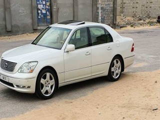 عبدالمنعم