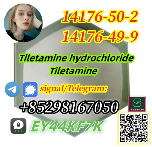 Research chemicals Tiletamine cas:14176-49-9 low price