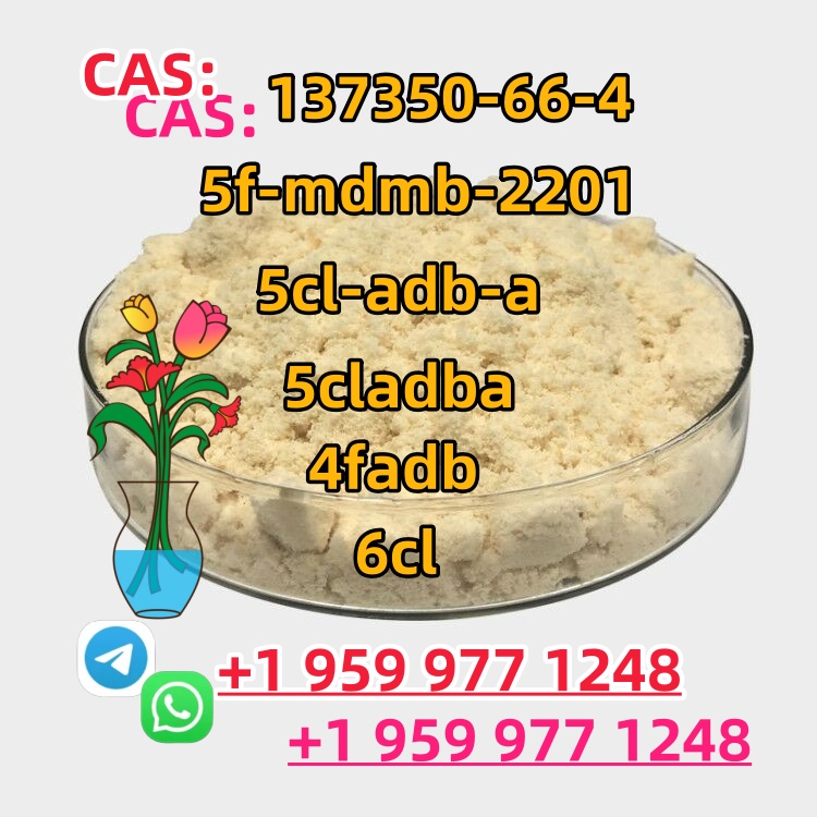 CAS:137350-66-4 Source manufacturer, high quality