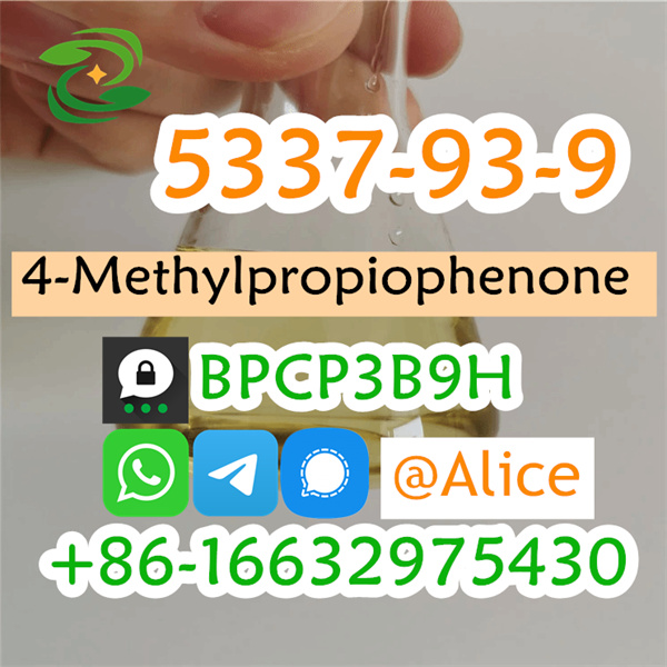 CAS 5337-93-9 4-Methylpropiophenone Fast Delivery