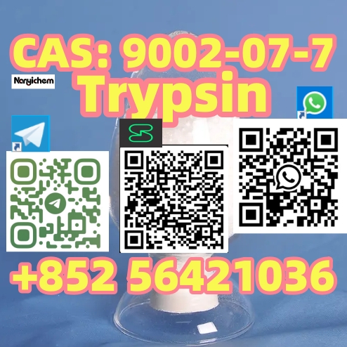 CAS: 9002-07-7 Name: Trypsin