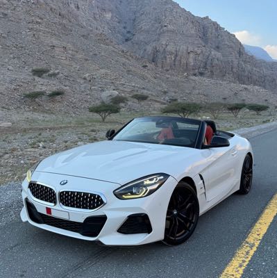 Bmw z4 30i s drive