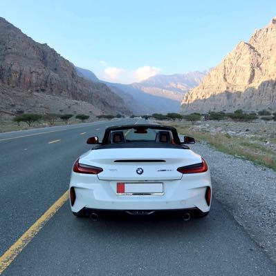 Bmw z4 30i s drive