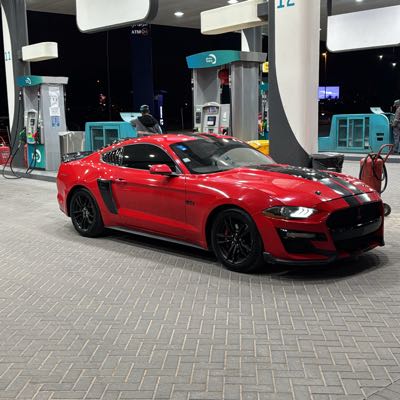 موستنق mustang